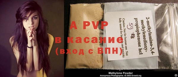 spice Верея