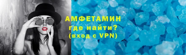 гидра Богородицк
