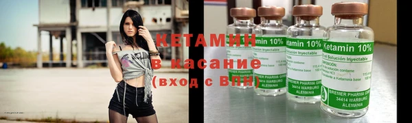 гидра Богородицк
