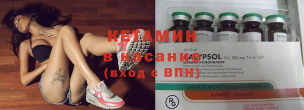 гидра Богородицк