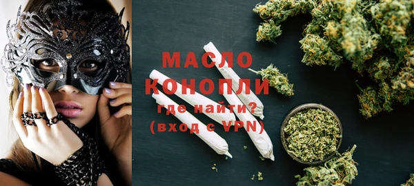 гидра Богородицк