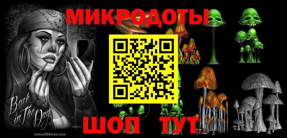 Корсаков  Галлюциногенные грибы Psilocybe  Вход с VPN  Псилоцибиновые грибы мицелий 