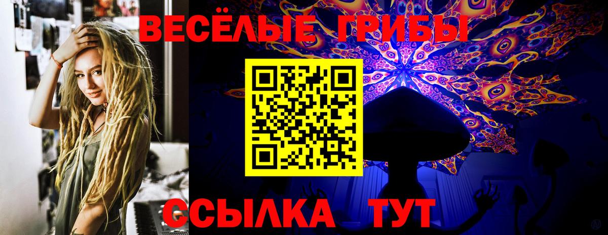 Псилоцибиновые грибы Cubensis Корсаков