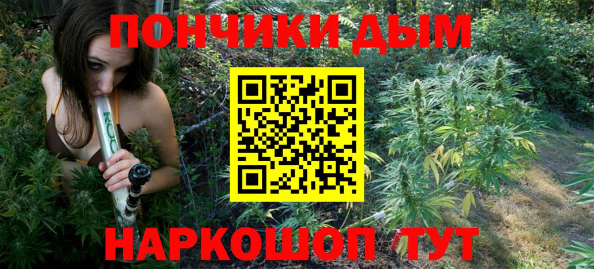 Шишки марихуана гибрид Корсаков